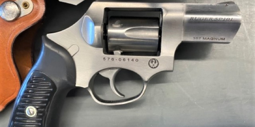 Boston TSA stops woman with loaded gun in carry-on luggage - Vimarsana News