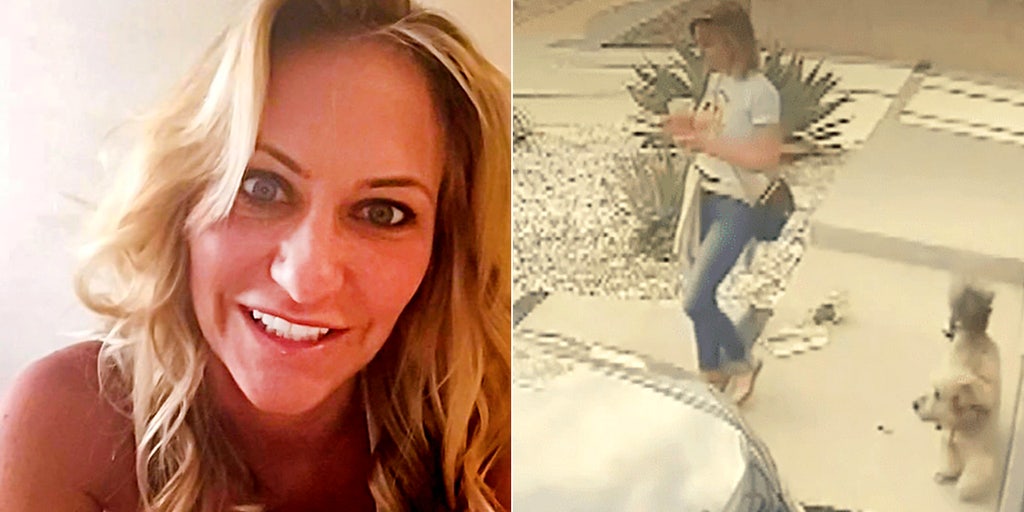 Heidi Planck disappearance: Los Angeles cops search landfill for human remains, evidence of missing woman - Vimarsana News