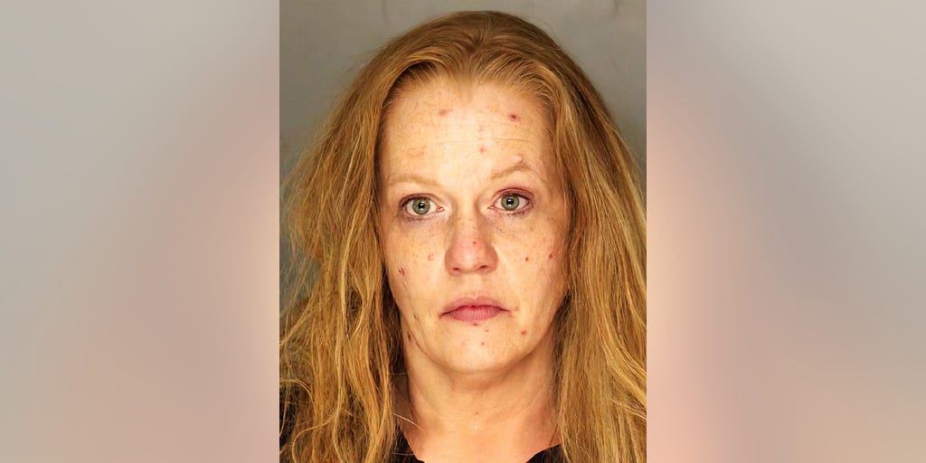 Pittsburgh woman allegedly attacked off-duty police officer who had investigated her son: authorities - Vimarsana News
