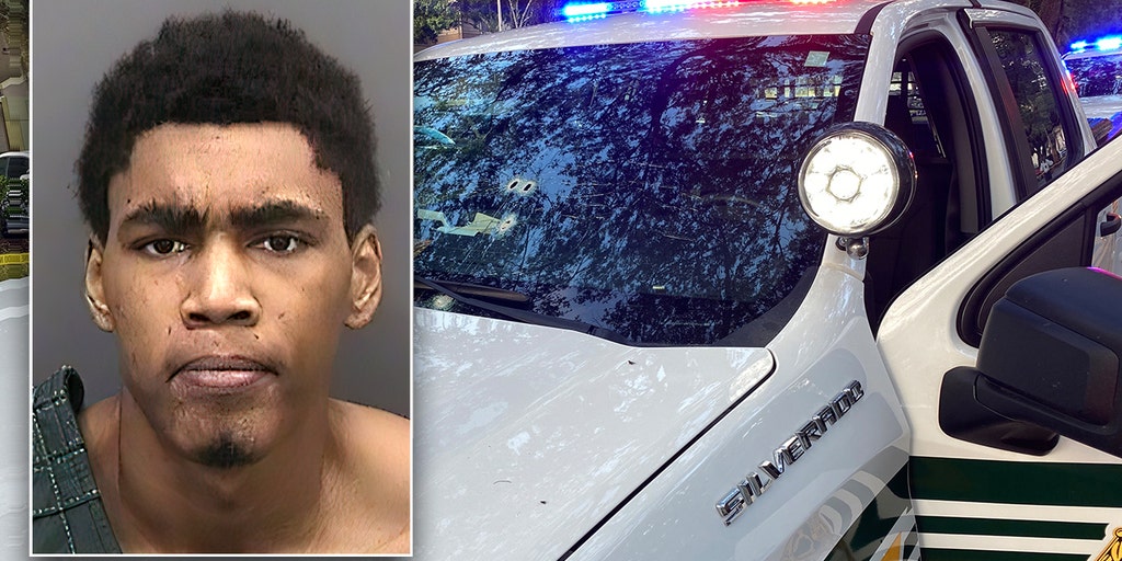 Florida man who fired 8 gunshots at deputy during traffic stop arrested after days on the run - Vimarsana News