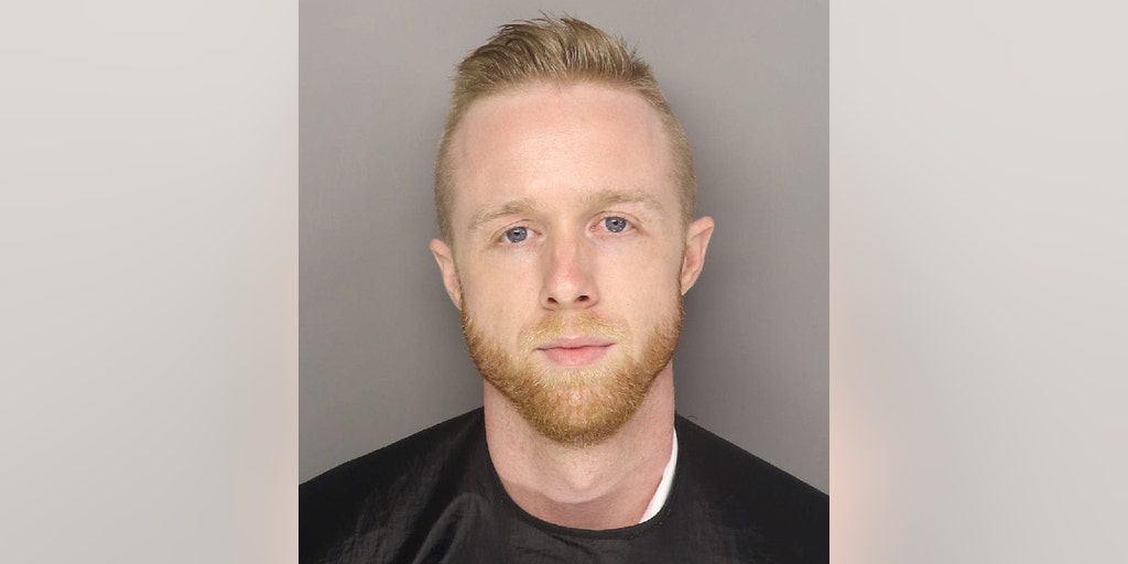 Juilliard-trained concert pianist charged in SC pet hospital staffer's 'very violent' stabbing death - Vimarsana News