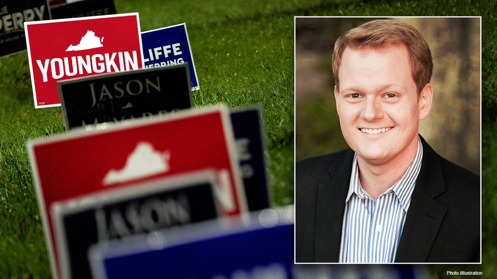 Virginia Dem busted by cops for stealing campaign signs the night before election