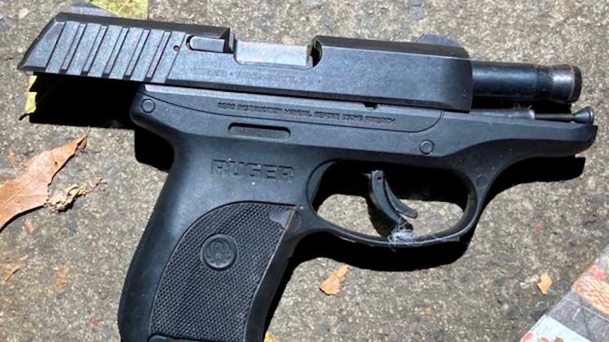 Charlie Vasquez allegedly used a firearm which had been reported stolen in Georgia to carry out the shooting in the Bronx on Thanksgiving Eve.