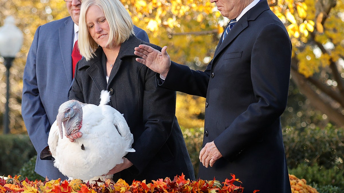 Biden Thanksgiving turkey