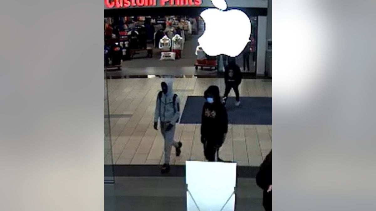 Police in Santa Rosa, California, are looking for four suspects involved in a Wednesday smash-and-grab burglary at an Apple store. 