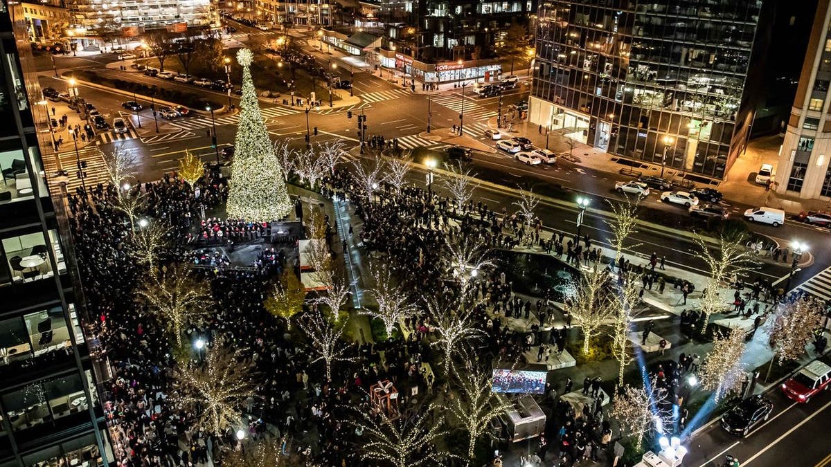 CityCenterDC's Christmas Tree in Washington, District of Columbia