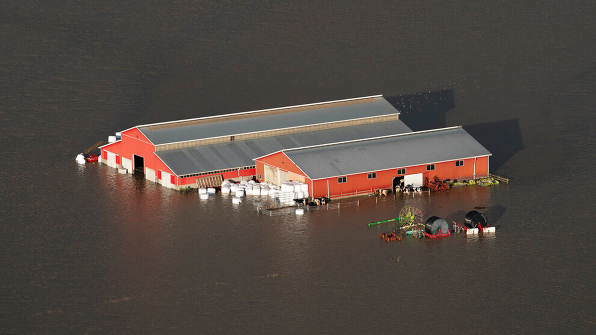 A barn is seen surrounded by flood waters in Chilliwack, British Columbia, Tuesday, Nov. 16, 2021.