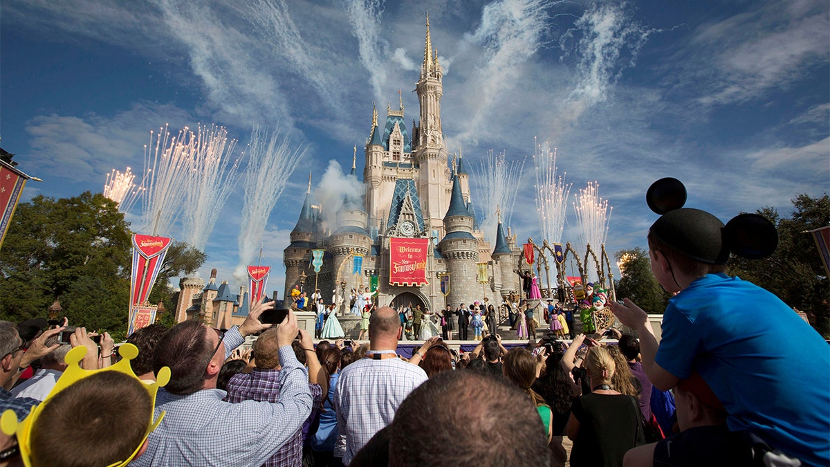 FILE PHOTO: Fireworks go off around Cinderella's castle during the grand opening ceremony for Walt Disney World's Fantasyland in Lake Buena Vista, Florida December 6, 2012. 