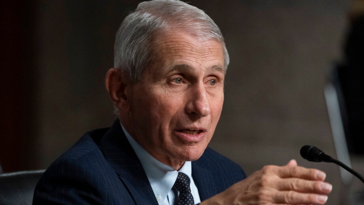 Dr. Anthony Fauci, director of the National Institute of Allergy and Infectious Diseases, speaks during a Senate Health, Education, Labor, and Pensions Committee hearing on Capitol Hill, Thursday, Nov. 4, 2021, in Washington. 