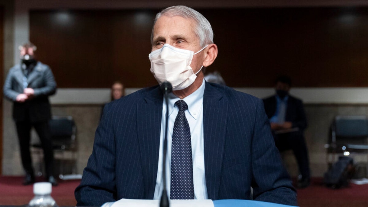 Dr. Anthony Fauci, director of the National Institute of Allergy and Infectious Diseases, takes his seat for a Senate Health, Education, Labor, and Pensions Committee hearing on Capitol Hill, Thursday, Nov. 4, 2021, in Washington. (AP Photo/Alex Brandon)