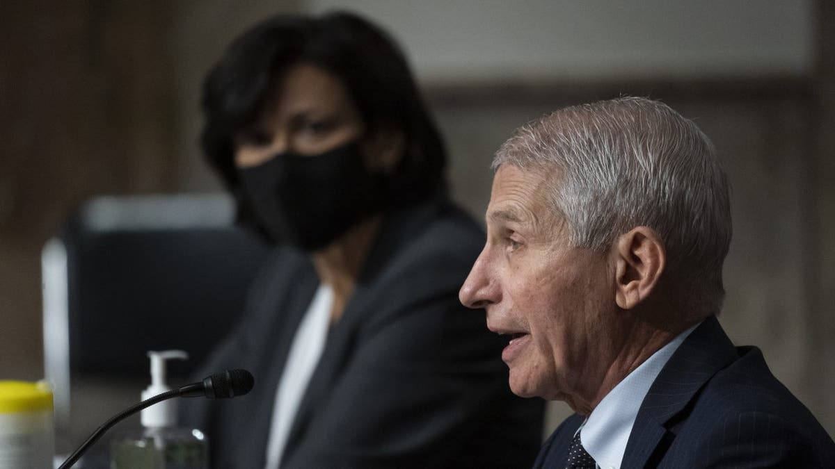 Dr. Fauci Senate hearing