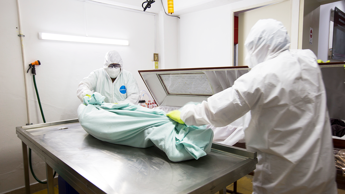 Getty photo of medical personnel preparing an autopsy