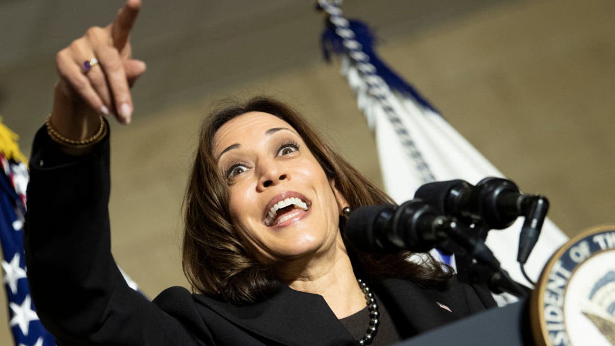 Vice President Kamala Harris speaks at the Plumbers and Pipefitters Local 189 union hall on Nov. 19, 2021, in Columbus, Ohio, to promote the Bipartisan Infrastructure Law.