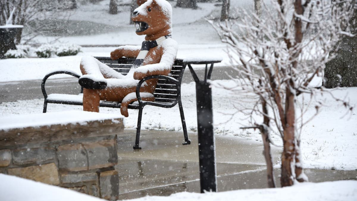 Snow covers the Nittany Lion on the Penn State Berks campus.  (Harold Hoch/MediaNews Group/Reading Eagle via Getty Images)