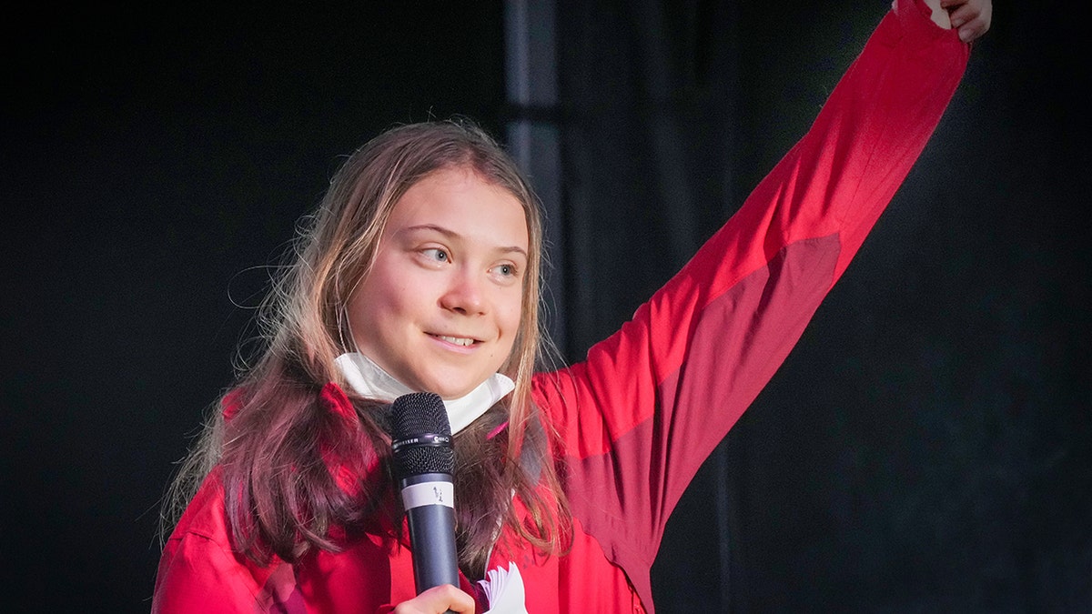 Greta Thunberg speaks at climate conference