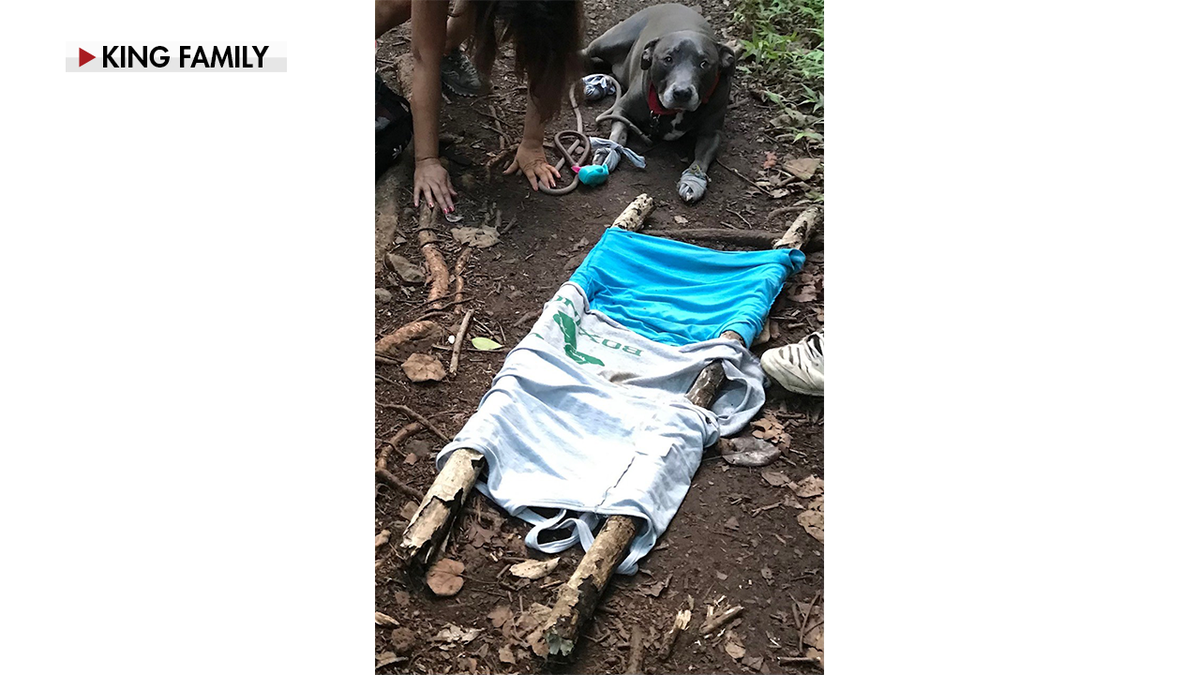 Hawaii Boy Scout, 12, helps rescue couple and injured dog who was lost in woods