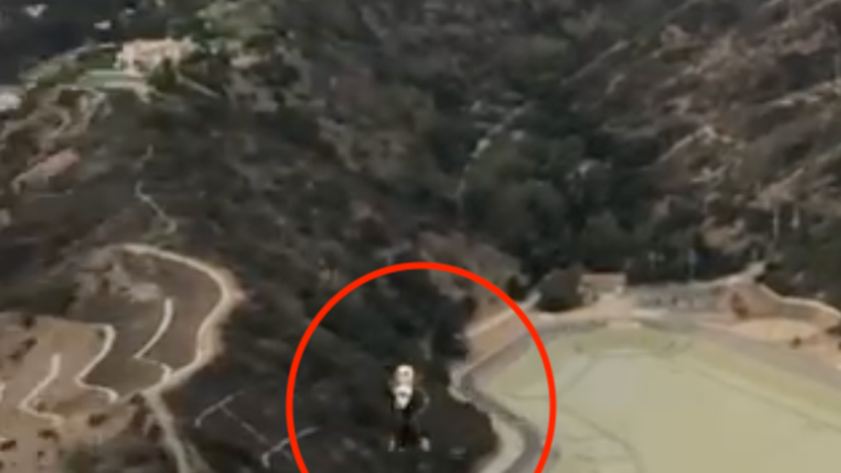 This still frame from a video released by the LAPD shows the object floating in the air.