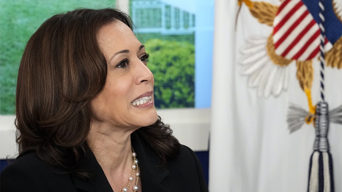 Kamala Harris at United Nations General Assembly on COVID-19 in the White House