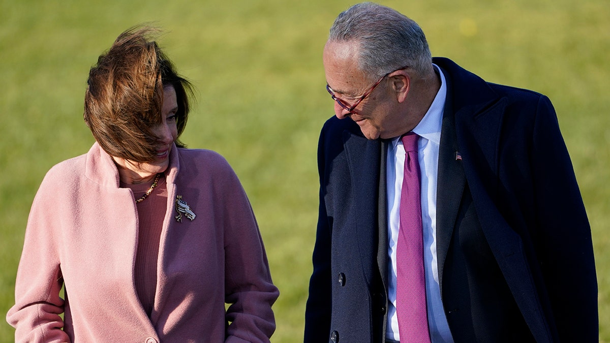 Pelosi and Schumer speak in the yard