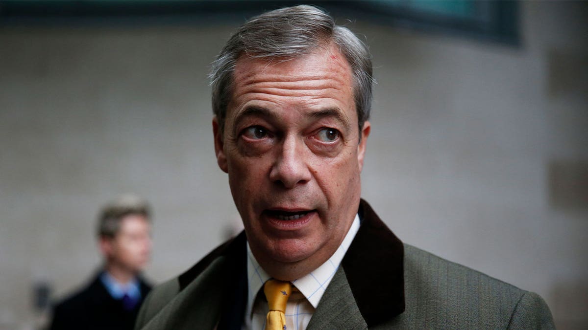 Brexit Party leader and former MEP Nigel Farage