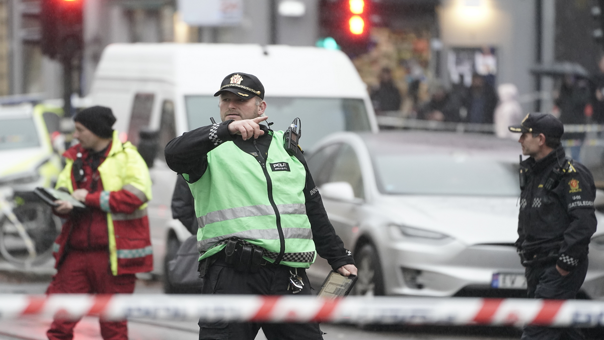 A man reportedly armed with a knife has threatened passers-by on the streets of the Norwegian capital, Oslo, before being shot dead by police. 