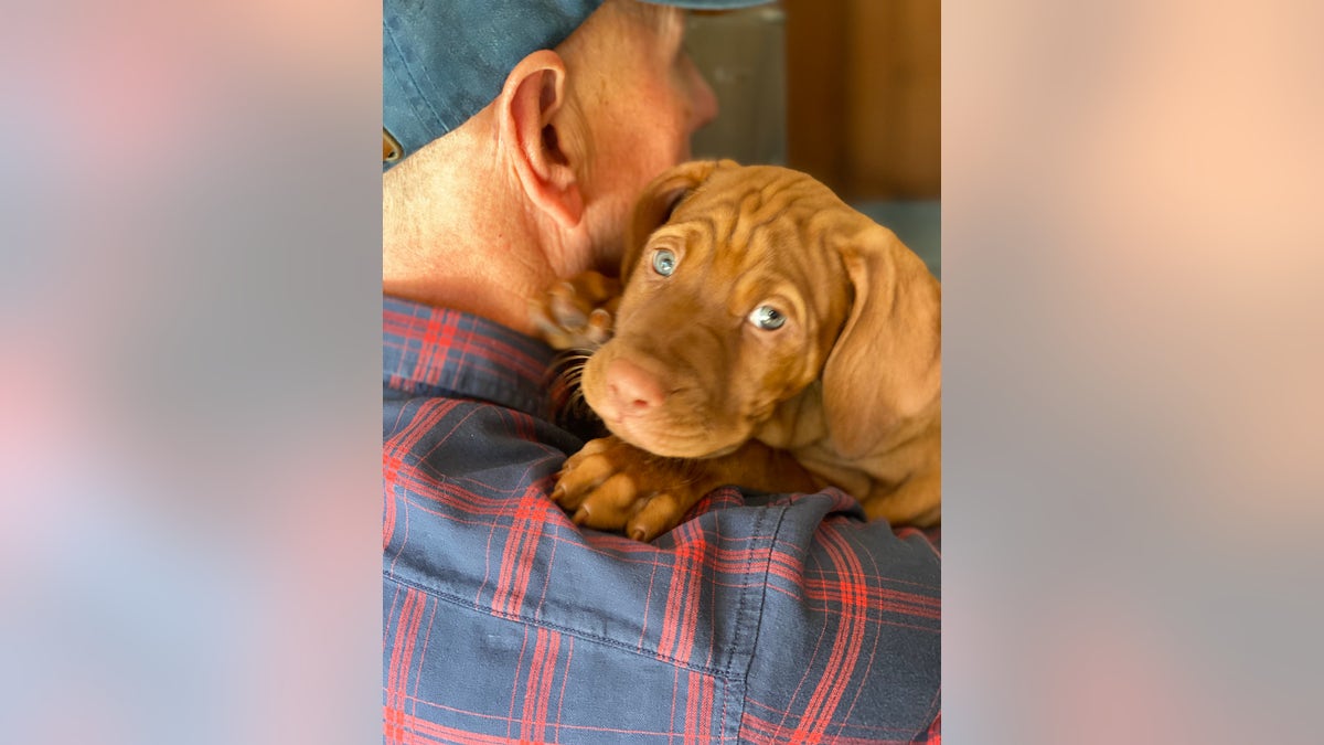 Dana Perino's husband Peter holding Percy Vizsla.