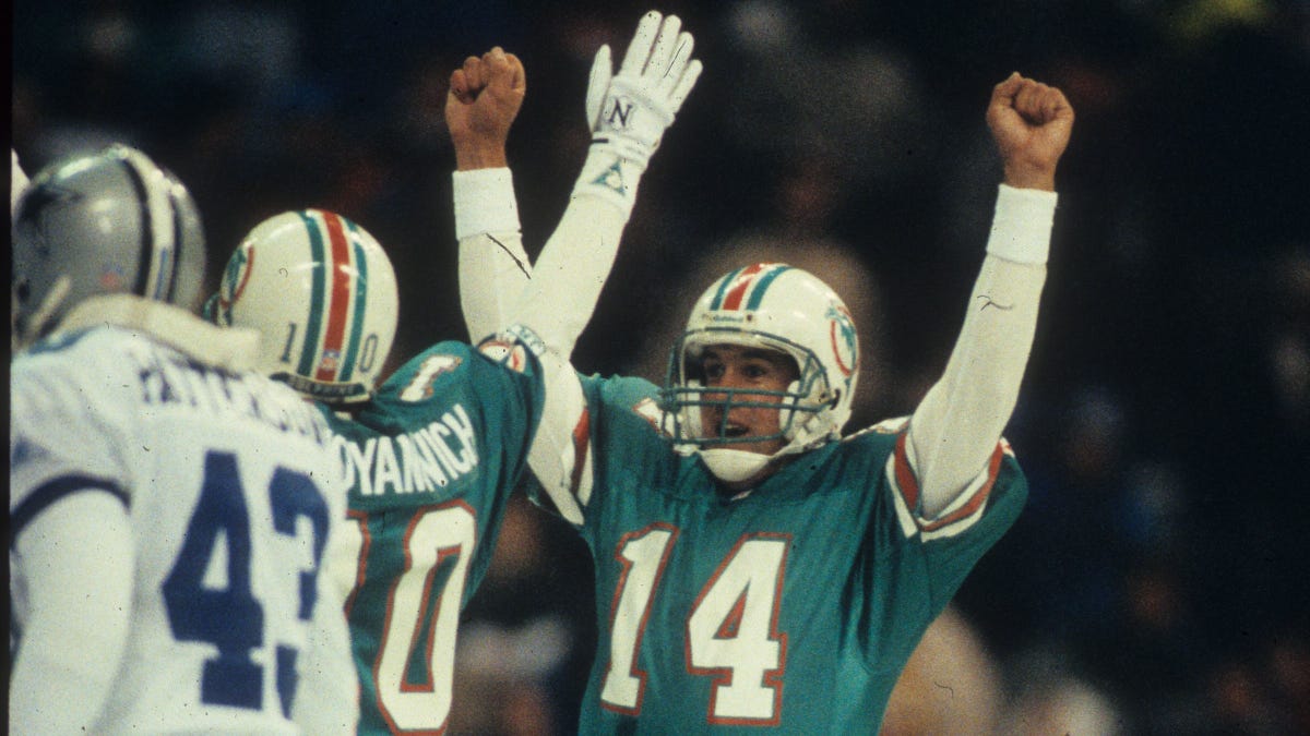 Quarterback Doug Pederson (14) of the Miami Dolphins celebrates kicker Pete Stoyanovich's game-winning 19-yard kick against the Dallas Cowboys at Texas Stadium on Nov. 25, 1993, in Irving, Texas.