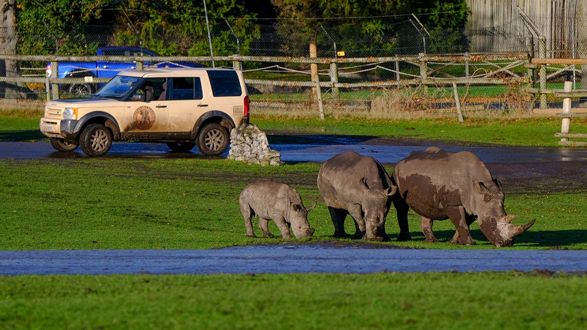 Wardens patrol the facility in Land Rover SUVs.