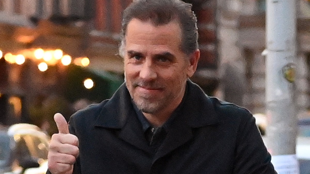 Hunter Biden has launched an art career.