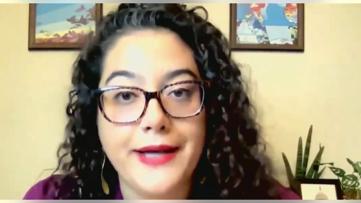 Dr. Ghazaleh Moayedi testifying for a House Judiciary hearing on Texas' abortion law on Nov. 4.