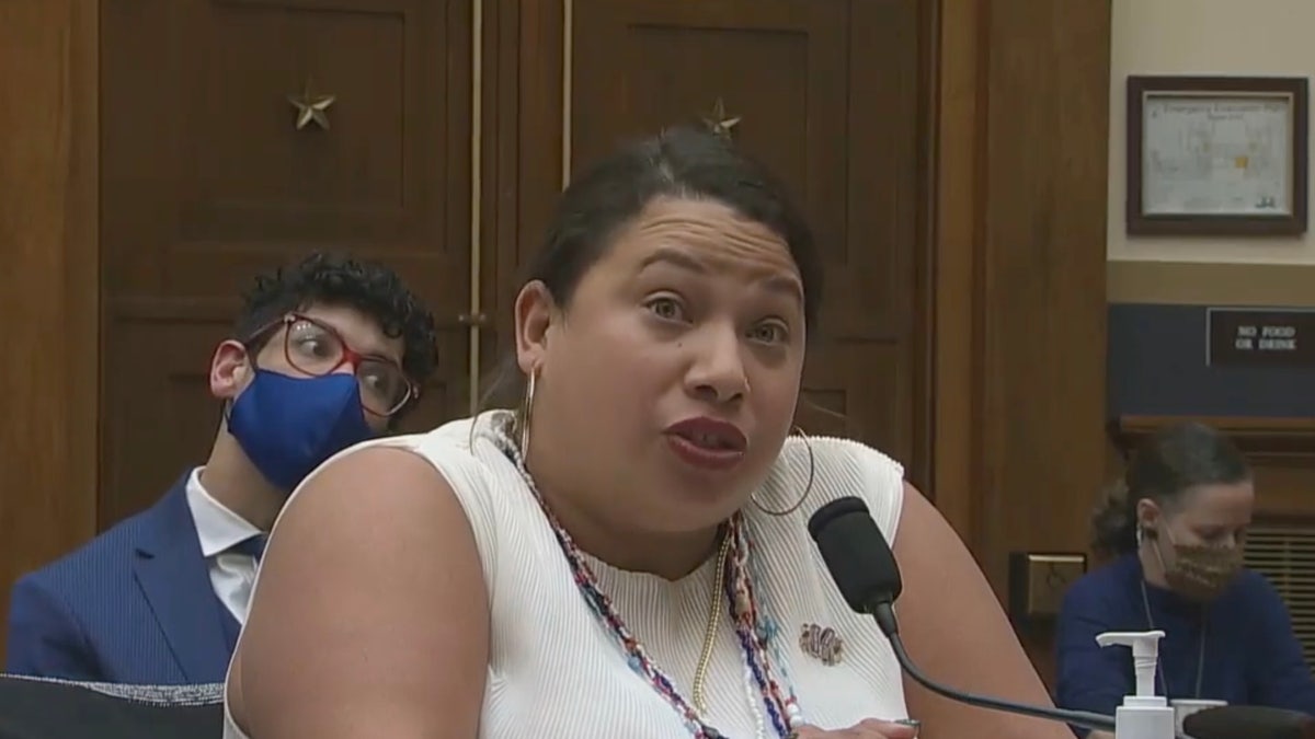 Stephanie Loraine Piñeiro, co-executive director of Florida Access Network, testifying before the House Judiciary Committee on Nov. 4, 2021
