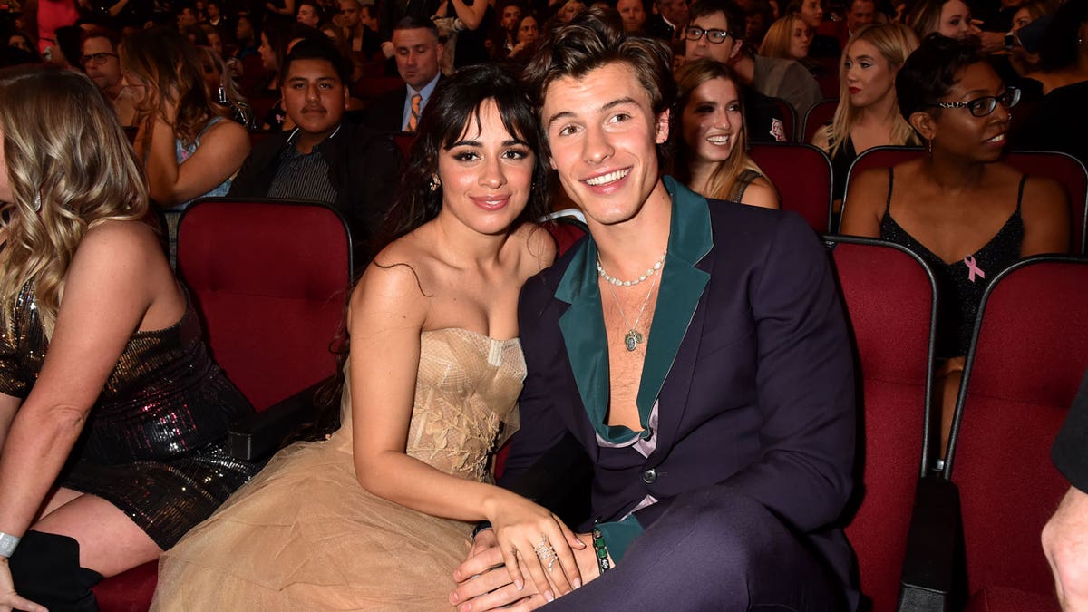 shawn mendes and camila cabello