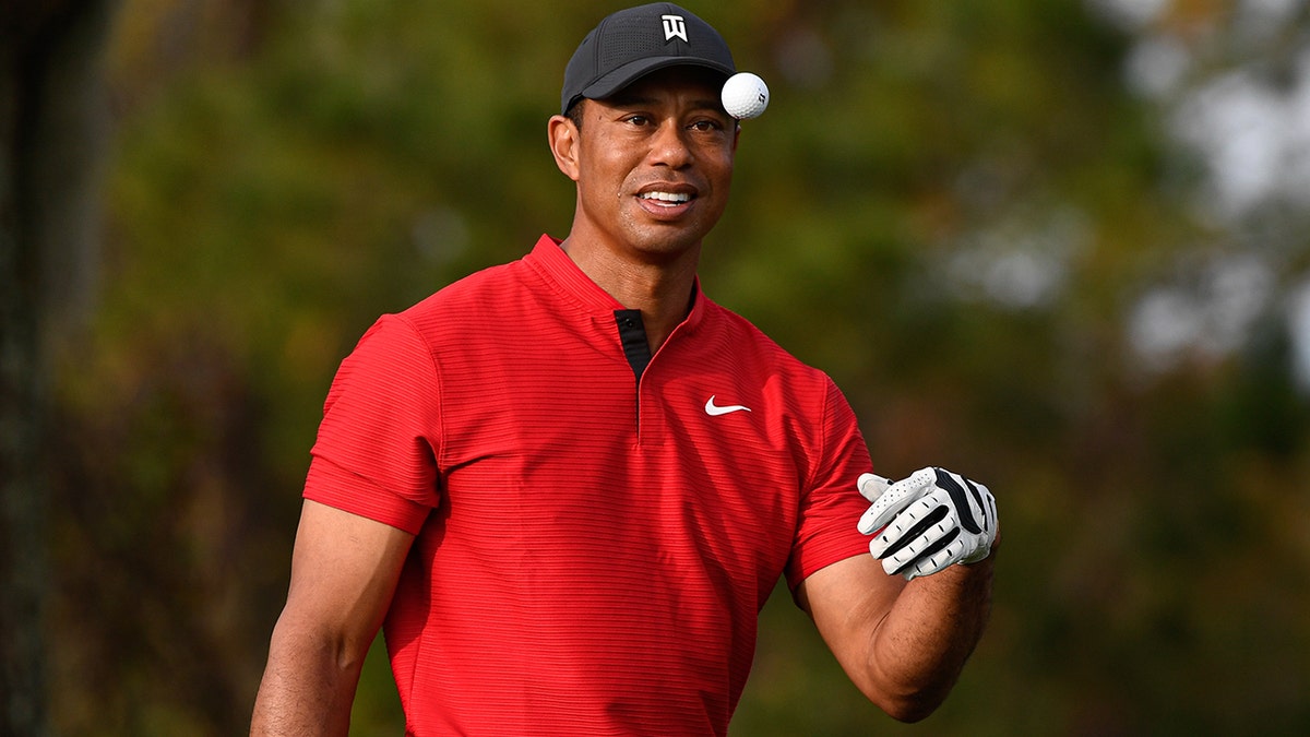 tiger woods golf shirts 2020