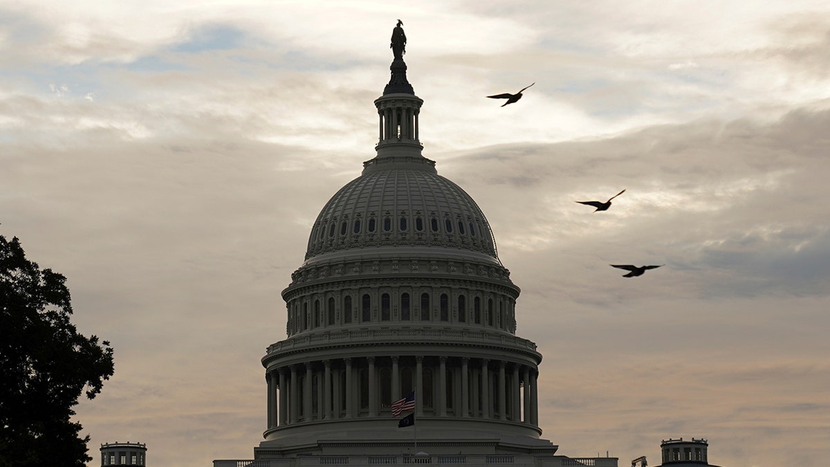 The U.S. Capitol dome 