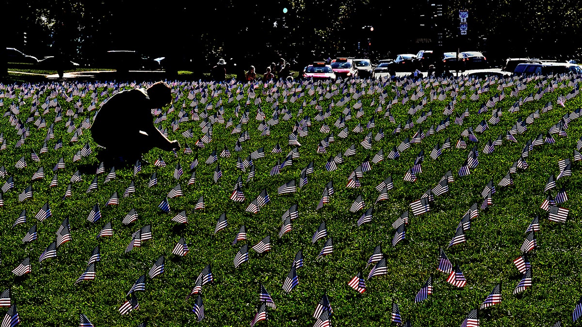 American flags planted on National Mall to honor fallen soldiers