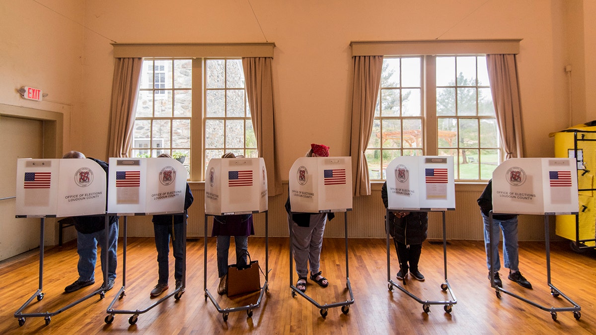 Voting booths in Virginia
