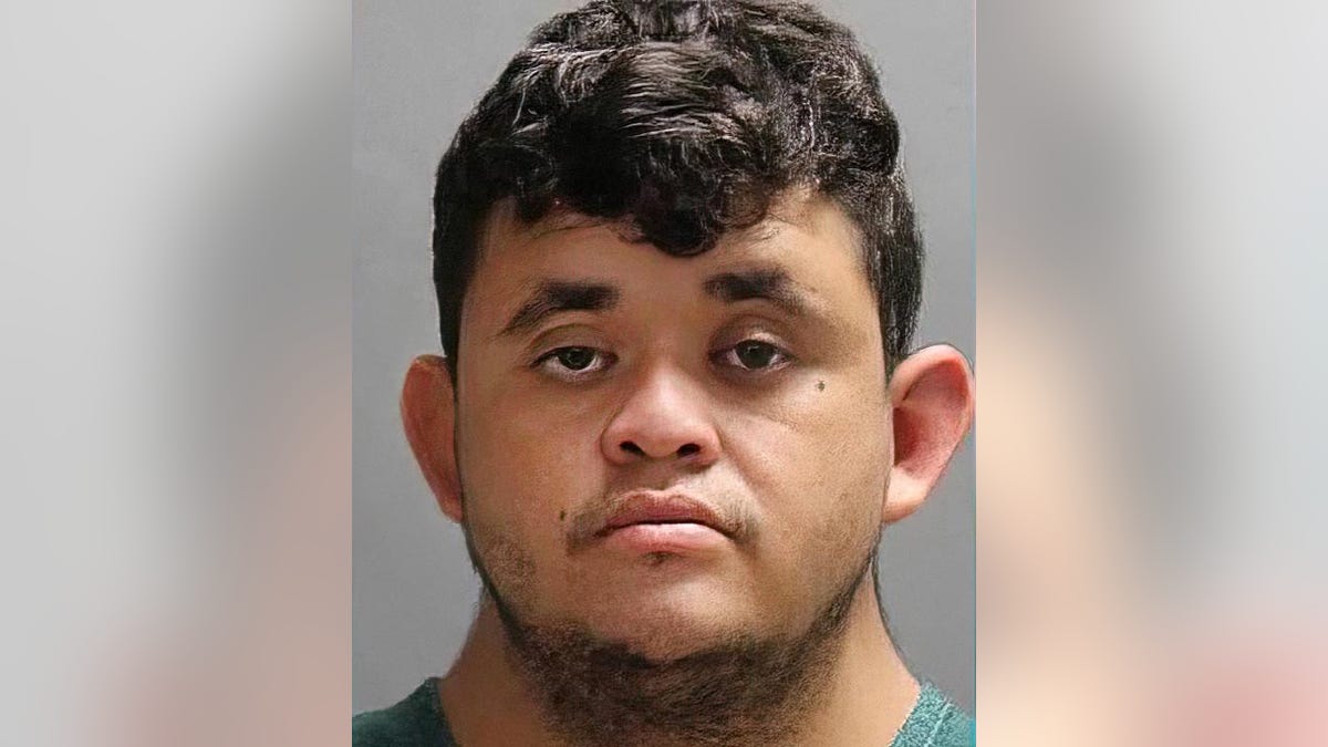 Illegal immigrant Yery Noel Medina Ulloa charged with murder in Florida death