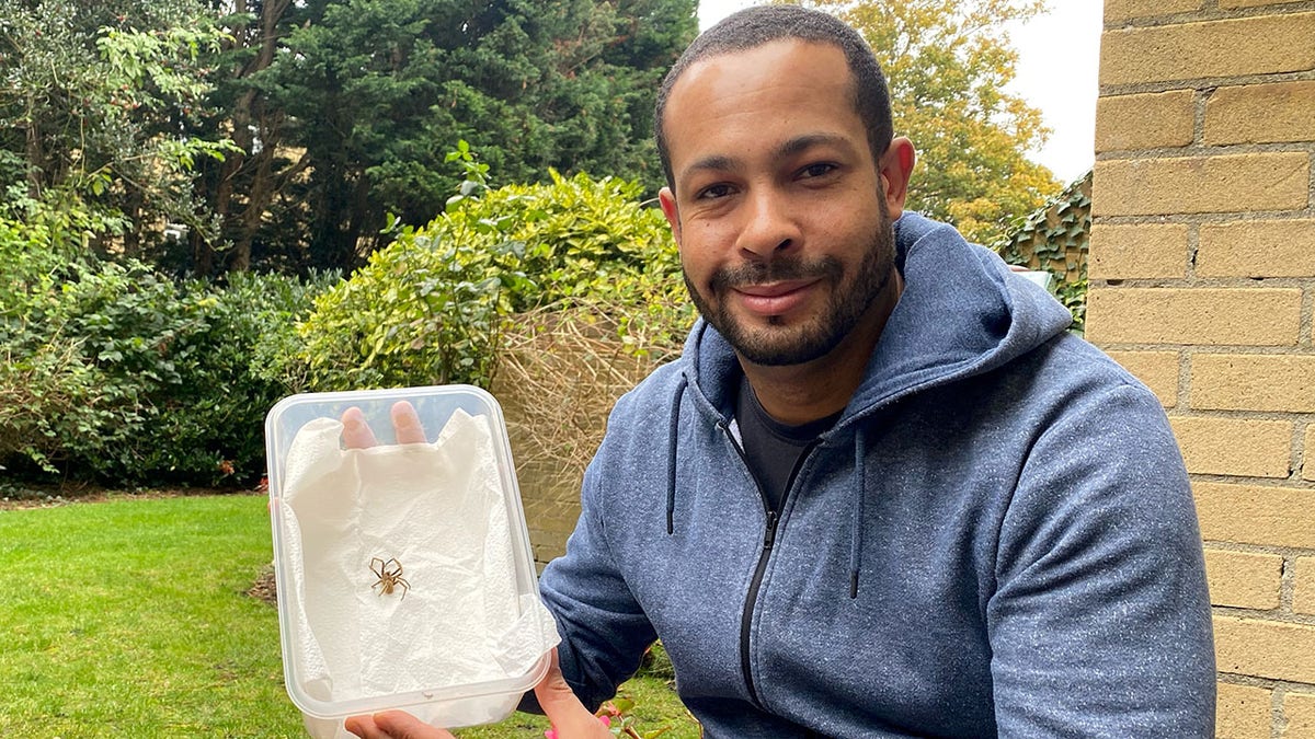 Joe Stein with the Brazilian wandering spider