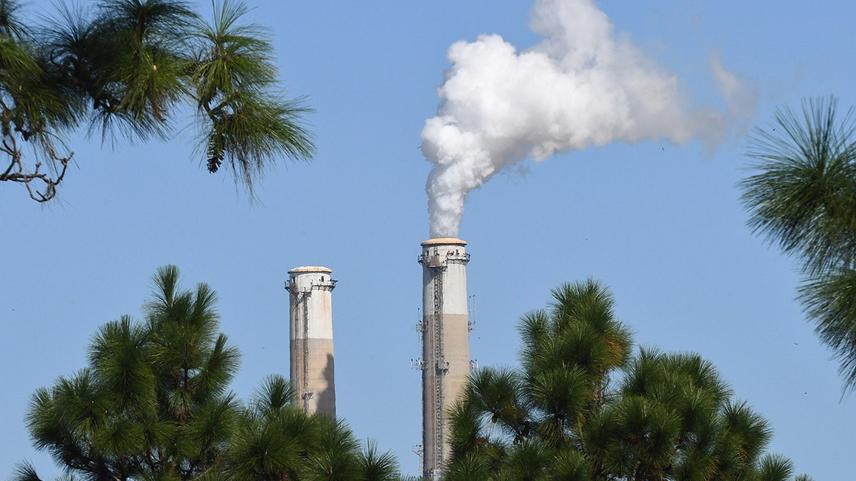 The twin smokestacks at the Stanton Energy Center, a coal-fired power plant, in Orlando, Florida.