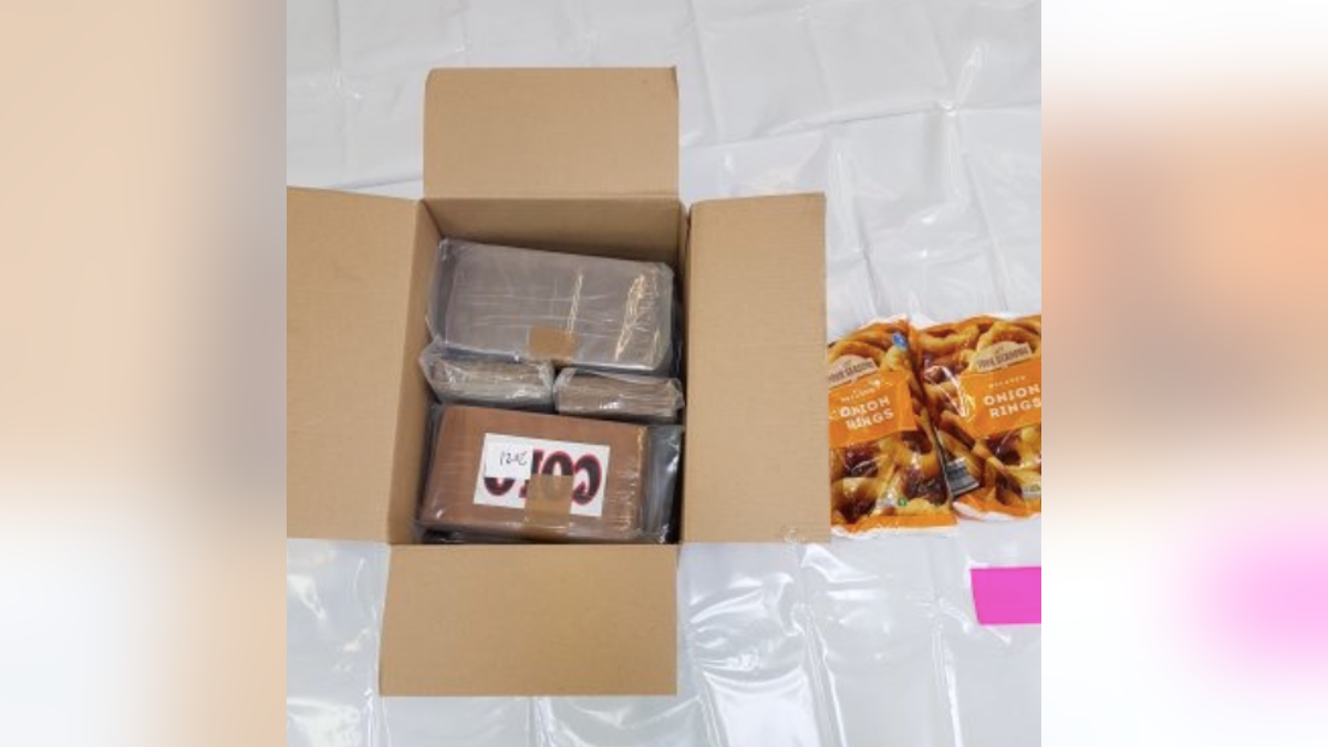 The cocaine shipment was hidden in a shipment of frozen onion rings.