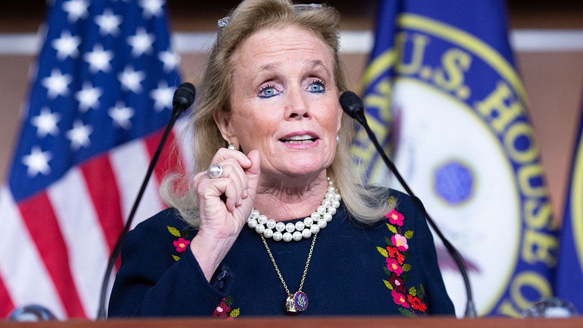 House Rep. Debbie Dingell (D-MI) speaks during a press conference after a House Democratic Caucus meeting at the U.S. Capitol on November 2, 2021 in Washington, DC.  Recently, someone broke into her Michigan office. 