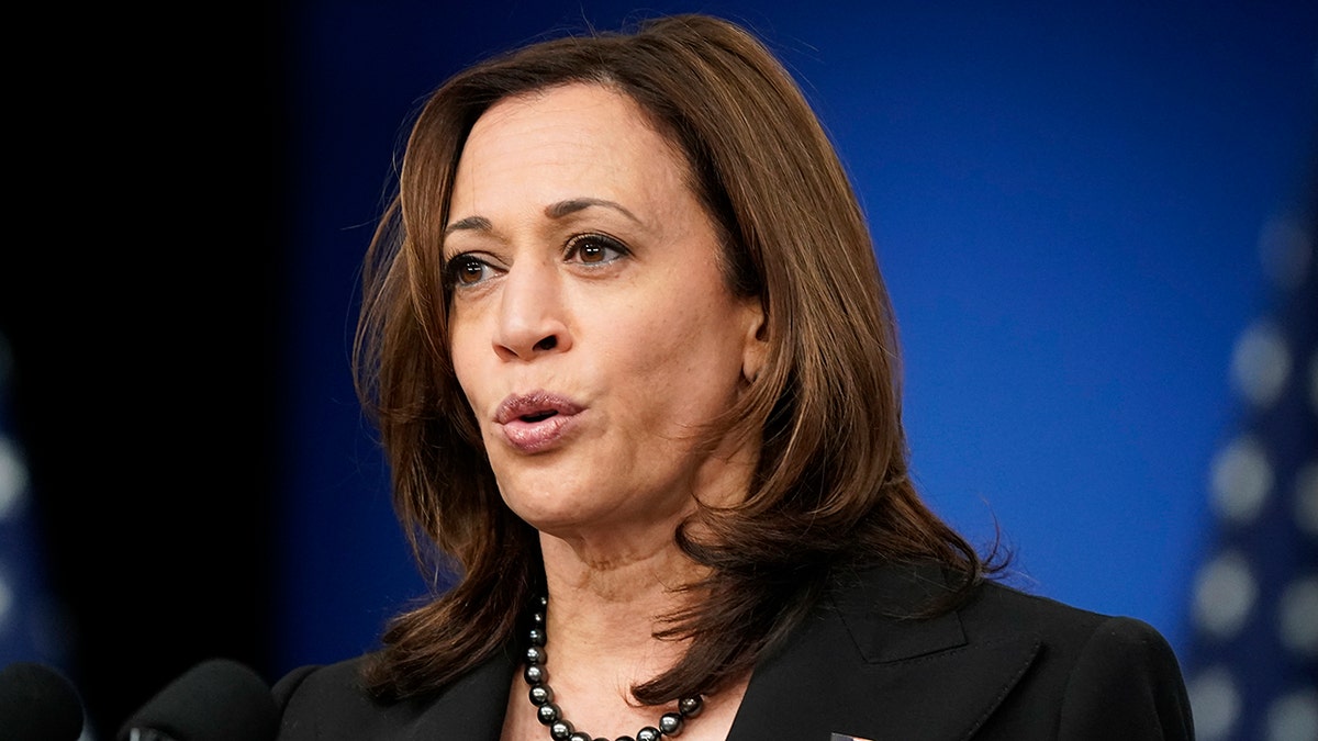 Kamala Harris speaks at summit at White House