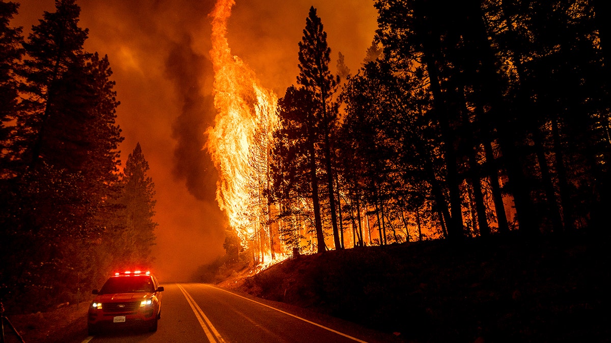 Flames leap from trees as the Dixie Fire jumps Highway 89 north of Greenville in Plumas County, California, on Aug. 3, 2021. 