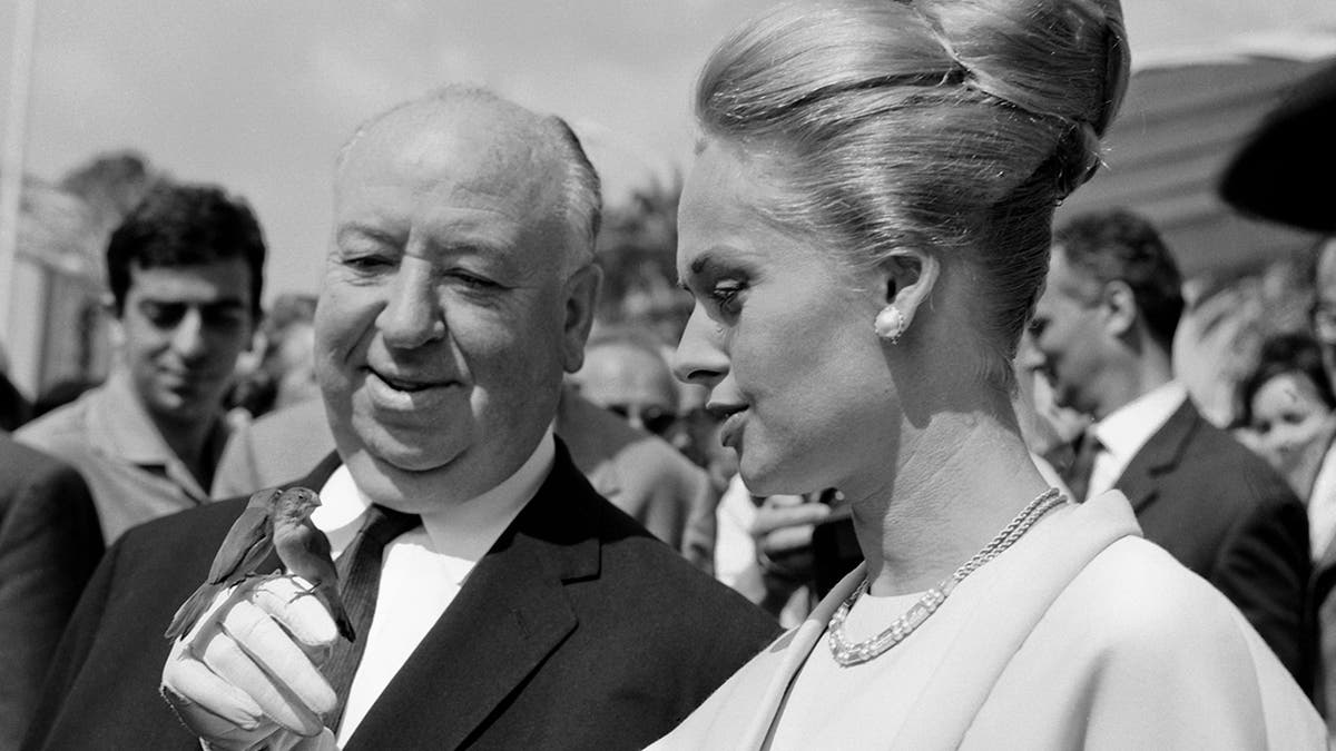 Alfred Hitchcock and Tippi Hedren with a bird on the hand in the Cannes film festival, on the occasion of the presentation of the movie "Birds."