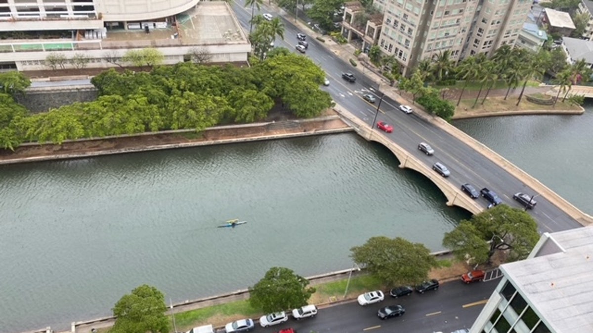 The wreck happened on Ala Wai Boulevard, a busy street in the Waikiki neighborhood. 