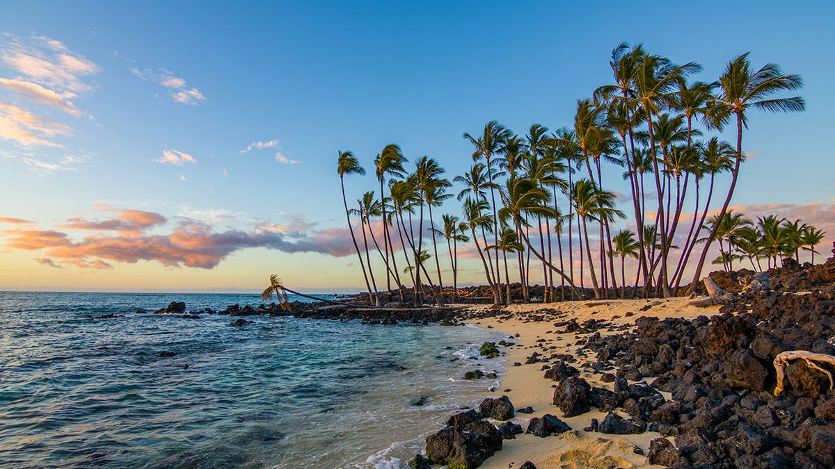 Amazing sunset and palms on the beach. Beautiful nature of Hawaii. USA