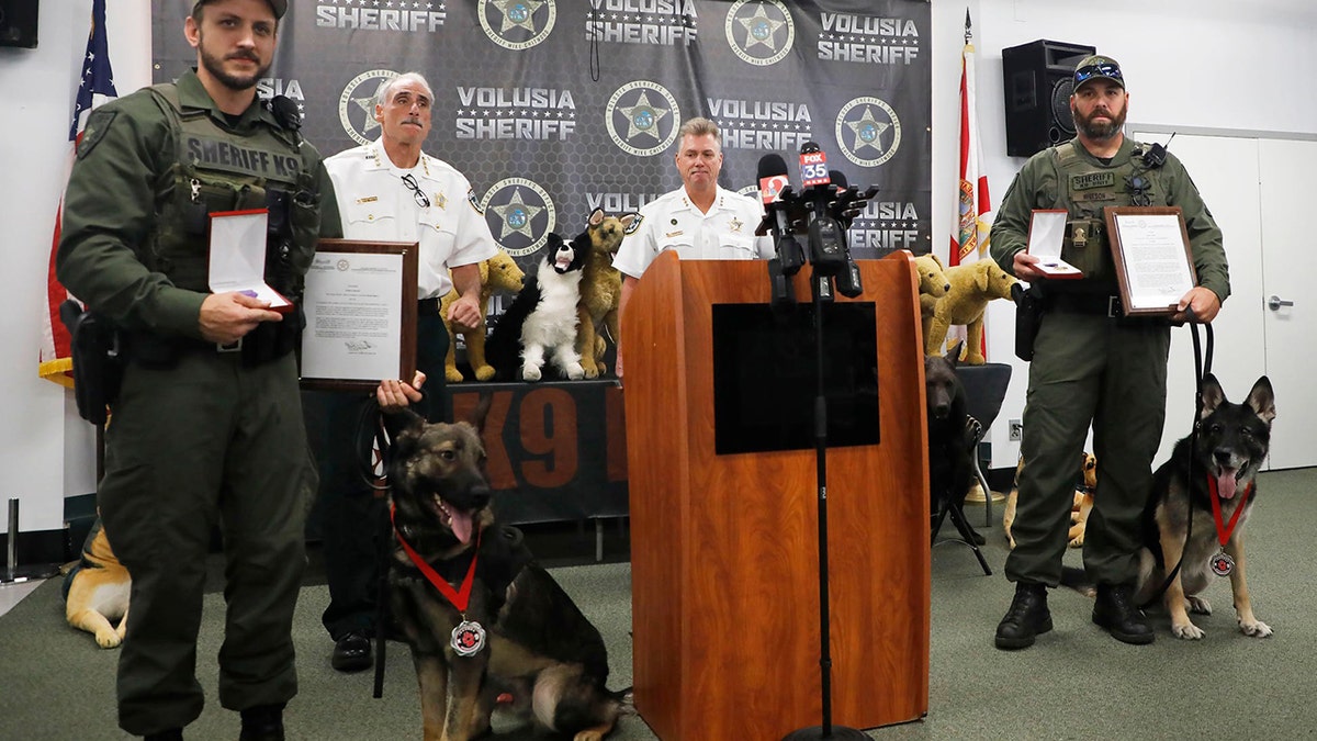 Two Florida K-9s were honored Wednesday with Purple Hearts after each suffering gunshot wounds while subduing an armed carjacking suspect in September.