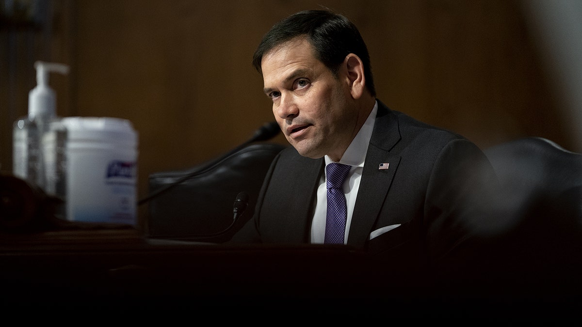 Sen. Marco Rubio, a Republican from Florida, speaks during a Senate Appropriations Subcommittee hearing in May. The senator recently voiced his concerns over foreign nationals engaging "in America’s democratic process."