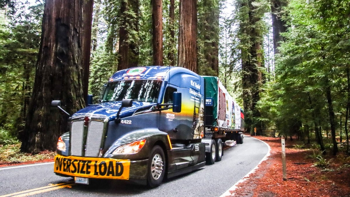 U.S. Capitol Christmas Tree truck traveling through California with the tree in tow (photo credit: James Edward Mill)