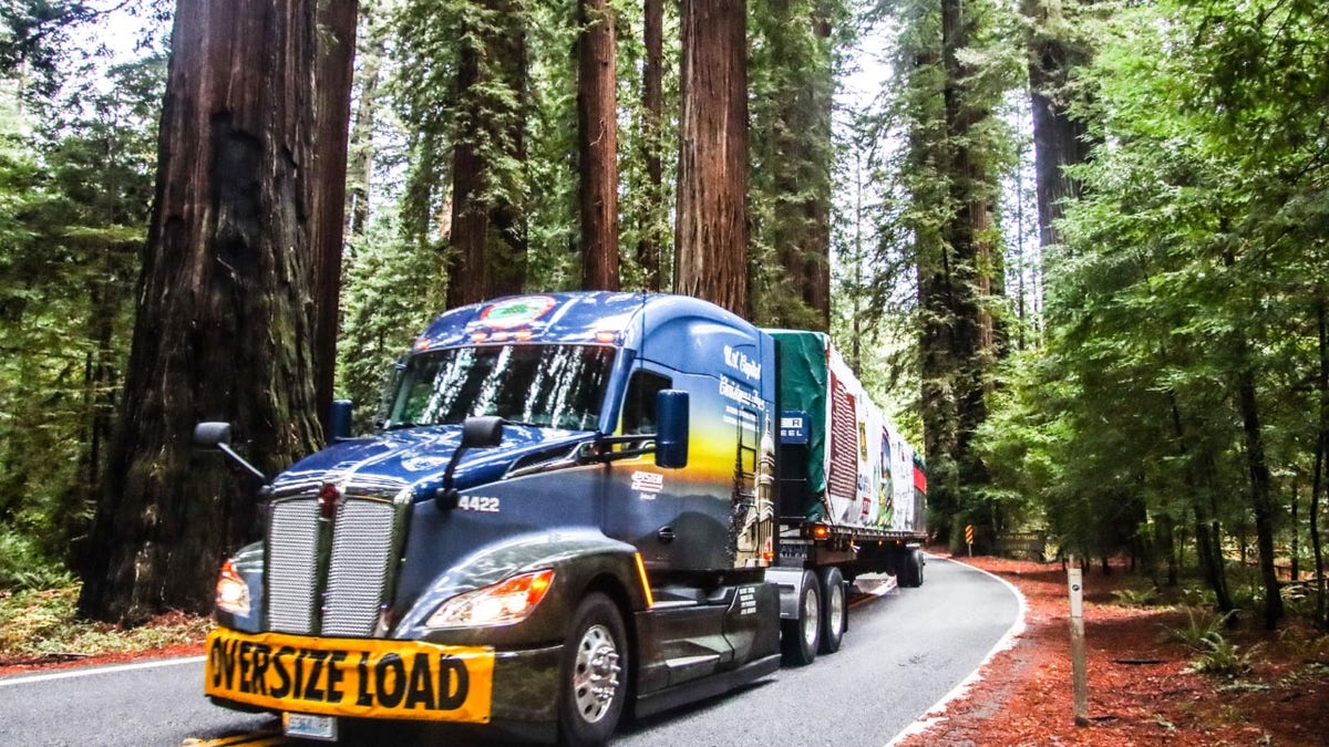 U.S. Capitol Christmas Tree truck traveling through California with the tree in tow (photo credit: James Edward Mill)